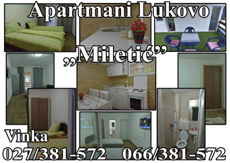 Apartmani Miletić Apartmani Miletić