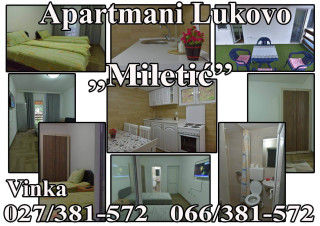 Apartmani Miletić Apartmani Miletić